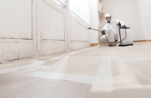 24/7 Emergency Basement Mold Removal experts in Georgetown, PA