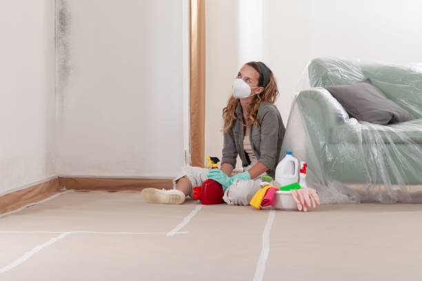 Reliable Basement Mold Removal contractor in Georgetown, PA by WQB Mold Removal